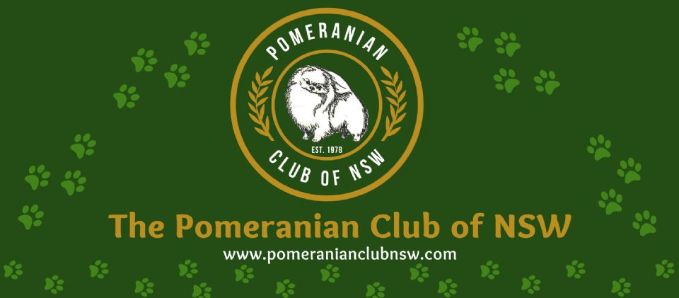 Pomeranian Club of NSW